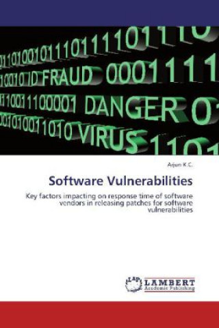 Software Vulnerabilities