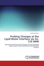 Probing Changes at the Lipid-Water Interface via Xe-129 NMR