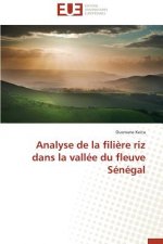 Analyse de La Filiere Riz Dans La Vallee Du Fleuve Senegal