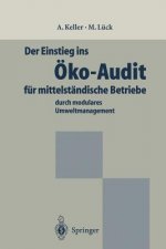 Einstieg ins Oko-Audit fur Mittelstandische Betriebe