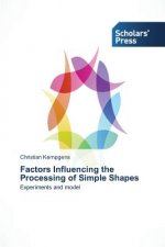 Factors Influencing the Processing of Simple Shapes