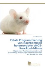 Fetale Programmierung von Nachkommen heterozygoter eNOS-Knockout-Mause