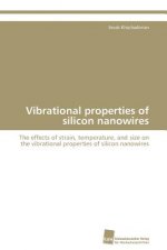Vibrational properties of silicon nanowires