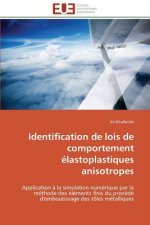 Identification de Lois de Comportement  lastoplastiques Anisotropes
