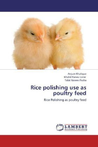 Rice polishing use as poultry feed