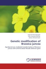 Genetic modification of Brassica juncea