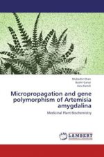 Micropropagation and gene polymorphism of Artemisia amygdalina
