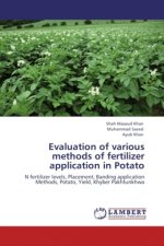 Evaluation of various methods of fertilizer application in Potato