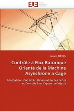 Controle a flux rotorique oriente de la machine asynchrone a cage