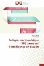 Intégration Numérique (2D) basée sur l'Intelligence en Essaim