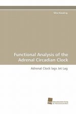 Functional Analysis of the Adrenal Circadian Clock