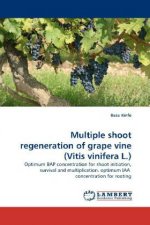 Multiple shoot regeneration of grape vine (Vitis vinifera L.)