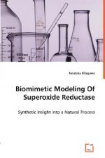 Biomimetic Modeling Of Superoxide Reductase - Synthetic Insight into a Natural Process