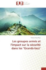 Les groupes armés et l'impact sur la sécurité dans les 
