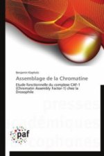 Assemblage de la Chromatine