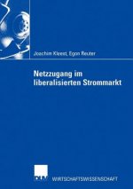 Netzzugang im Liberalisierten Strommarkt