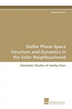 Stellar Phase-Space Structure and Dynamics in the Solar Neighbourhood