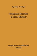 Uniqueness Theorems in Linear Elasticity