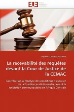 recevabilite des requetes devant la cour de justice de la cemac