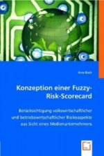 Konzeption einer Fuzzy-Risk-Scorecard