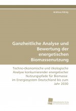 Ganzheitliche Analyse und Bewertung der energetischen Biomassenutzung