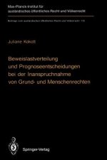 Beweislastverteilung und Prognoseentscheidungen bei der Inanspruchnahme von Grund- und Menschenrechten