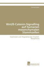 Wnt/ss-Catenin-Signalling auf humanen mesenchymalen Stammzellen