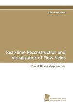 Real-Time Reconstruction and Visualization of Flow Fields