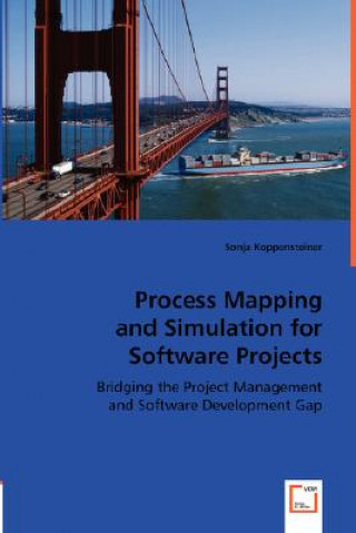 Process Mapping and Simulation for Software Projects