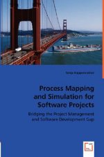 Process Mapping and Simulation for Software Projects