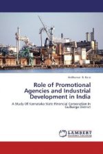 Role of Promotional Agencies and Industrial Development in India