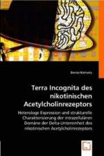 Terra Incognita des nikotinischenAcetylcholinrezeptors