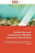 Gestion Des Eaux Souterraines d''abidjan (Sud de la C te d''ivoire)