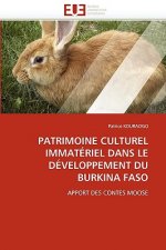 Patrimoine Culturel Immat riel Dans Le D veloppement Du Burkina Faso