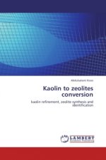 Kaolin to zeolites conversion