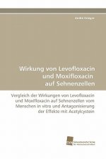Wirkung Von Levofloxacin Und Moxifloxacin Auf Sehnenzellen