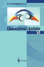 Glaucoma Update VI