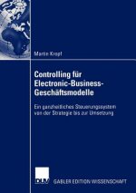 Controlling fur Electronic-Business-Geschaftsmodelle