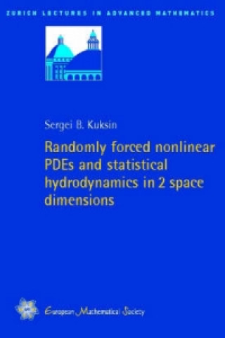 Randomly forced nonlinear PDEs and statistical hydrodynamics in 2 space dimensions