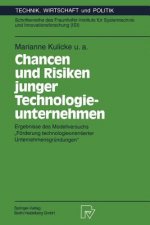 Chancen Und Risiken Junger Technologieunternehmen