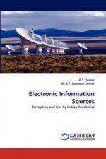 Electronic Information Sources