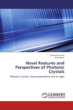 Novel Features and Perspectives of Photonic Crystals
