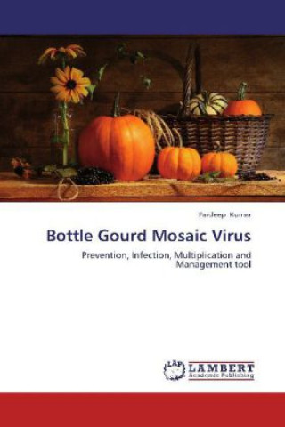 Bottle Gourd Mosaic Virus