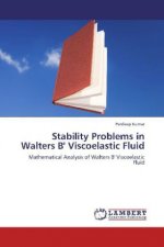 Stability Problems in Walters B' Viscoelastic Fluid