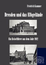 Dresden und das Elbgelande