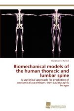 Biomechanical models of the human thoracic and lumbar spine