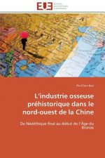 L industrie osseuse prehistorique dans le nord-ouest de la chine
