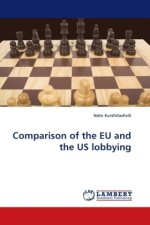 Comparison of the EU and the US lobbying