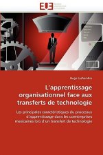 L''apprentissage Organisationnel Face Aux Transferts de Technologie
