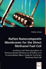Nafion Nanocomposite Membranes for the Direct Methanol Fuel Cell
